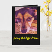 Sad Little Chihuahua Dog Face Sympathcard Kaart (Gele Bloem)
