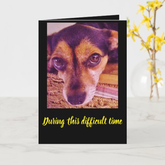 Sad Little Chihuahua Dog Face Sympathcard Kaart (Gele Bloem)