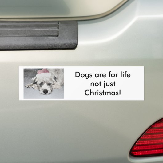 Sad Little Kerstdog Bumpersticker (Op auto)