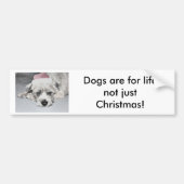 Sad Little Kerstdog Bumpersticker (Voorkant)
