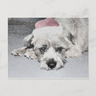 Sad Little Kerstdog Feestdagenkaart