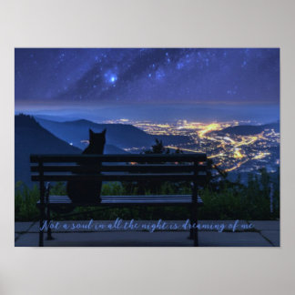 Sad & Lonely Pets Poster Afdrukken: Lonely Night C