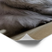 Sad & Lonely Pets Poster Print: Als ik verdween (Hoek)