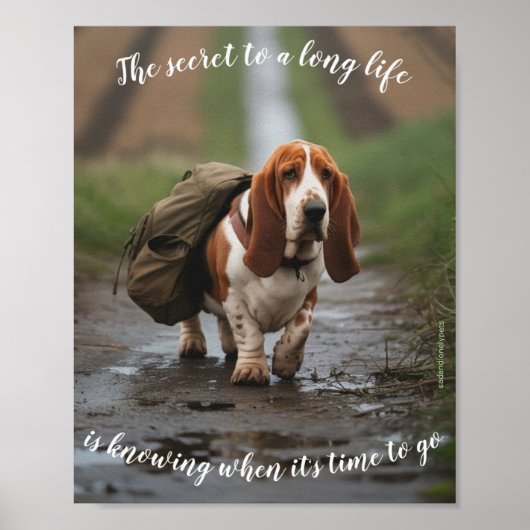 Sad & Lonely Pets Poster Print: Basset Secret (Voorkant)