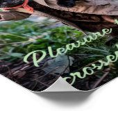 Sad & Lonely Pets Poster Print: Black Cat Pleasure (Hoek)