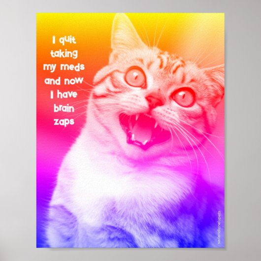 Sad & Lonely Pets Poster Print: Brain Zaps (Voorkant)