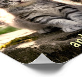 Sad & Lonely Pets Poster Print: Follow Me (Hoek)