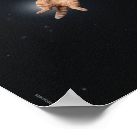 Sad & Lonely Pets Poster Print: Het gevoel helemaa (Hoek)