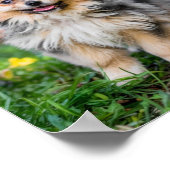 Sad & Lonely Pets Poster Print: Ik ben dood van bi (Hoek)