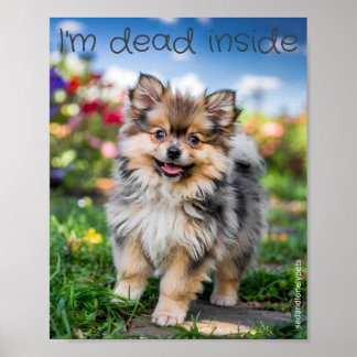 Sad & Lonely Pets Poster Print: Ik ben dood van bi