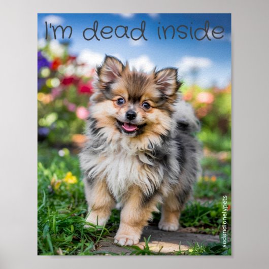 Sad & Lonely Pets Poster Print: Ik ben dood van bi (Voorkant)