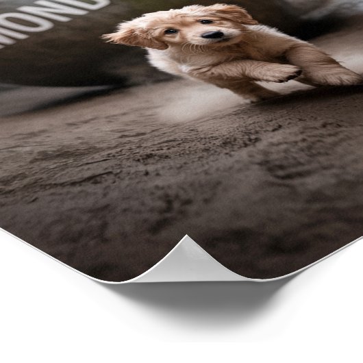 Sad & Lonely Pets Poster Print: Maandag (Hoek)