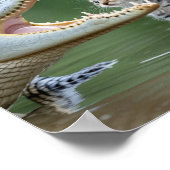 Sad Lonely Pets Poster Print: Mom Are You in There (Hoek)