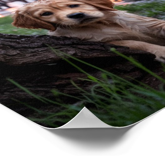 Sad & Lonely Pets Poster Print: Nachtmerrie (Hoek)