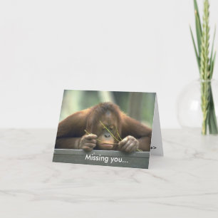 Sad Orangutan mist je Kaart