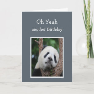 Sad Panda Beer Birthday Humor Kaart