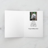 Sad Panda Beer Happy Birthday Zuster Humor Kaart (Binnen)