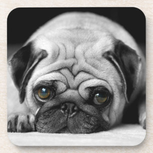 Sad Pug Bier Onderzetter
