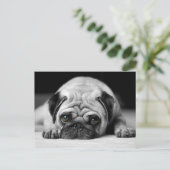 Sad Pug Briefkaart (Staand voorkant)