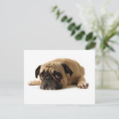 Sad Pug Briefkaart (Staand voorkant)