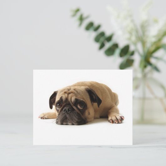 Sad Pug Briefkaart (Staand voorkant)