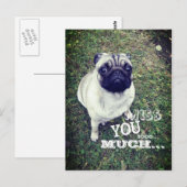 Sad Pug Briefkaart (Voorkant / Achterkant)