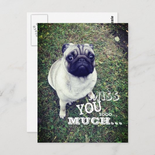 Sad Pug Briefkaart (Voorkant / Achterkant)