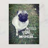 Sad Pug Briefkaart (Voorkant)