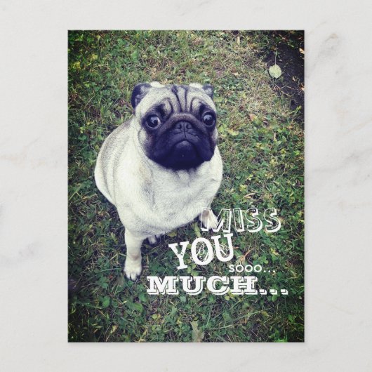 Sad Pug Briefkaart (Voorkant)