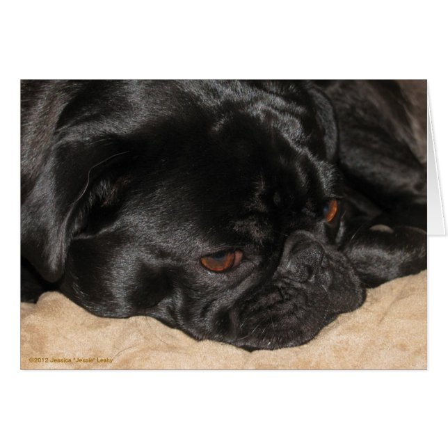 Sad Pug-kaart (Voorkant Horizontaal)