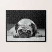 Sad Pug Legpuzzel (Horizontaal)