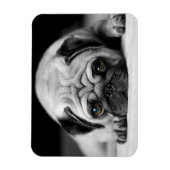 Sad Pug Magneet (Verticaal)
