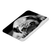 Sad Pug Magneet (Linkerzijde)