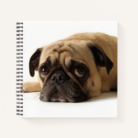 Sad Pug Notitieboek (Voorkant)