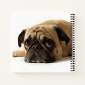 Sad Pug Notitieboek (Achterkant)
