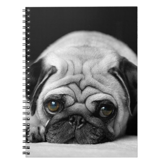 Sad Pug Notitieboek (Voorkant)