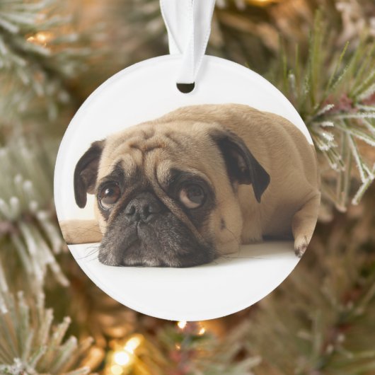 Sad Pug Ornament (Boom)