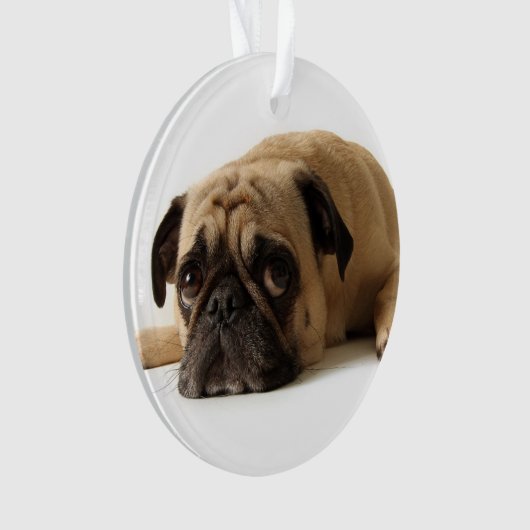 Sad Pug Ornament (voorkant)