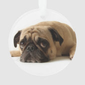 Sad Pug Ornament (achterkant)