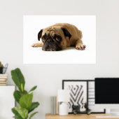 Sad Pug Poster (Thuiskantoor)
