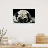 Sad Pug Puppy Dog Poster (Keuken)