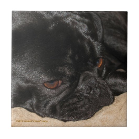 Sad Pug Tile Tegeltje (Voorkant)