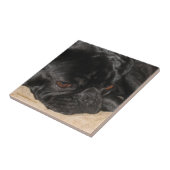 Sad Pug Tile Tegeltje (Zijkant)