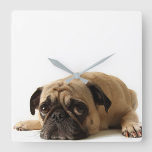 Sad Pug Vierkante Klok