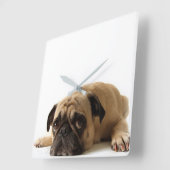 Sad Pug Vierkante Klok (Hoek)