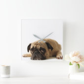 Sad Pug Vierkante Klok (Huis)