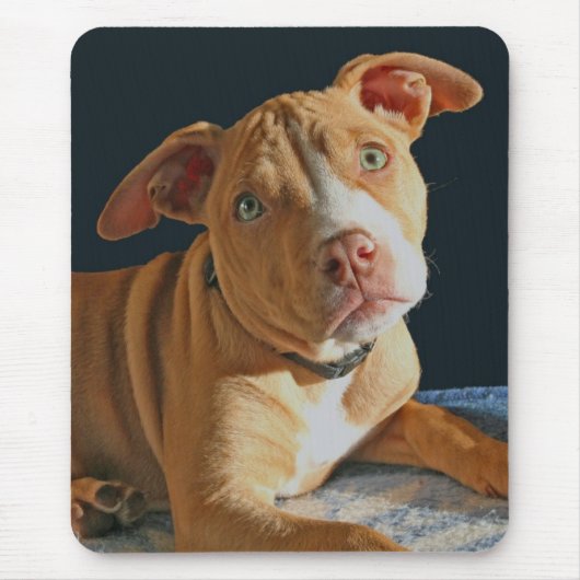 Sad Puppy Pit Bull Dog Doggy Mousepad Muismat (Voorkant)
