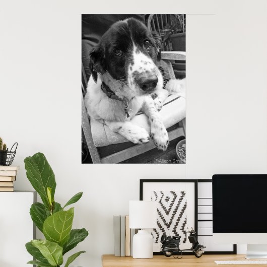 Sad Puppy Poster (Thuiskantoor)