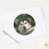 Sad Puppy Ronde Sticker (Envelop)