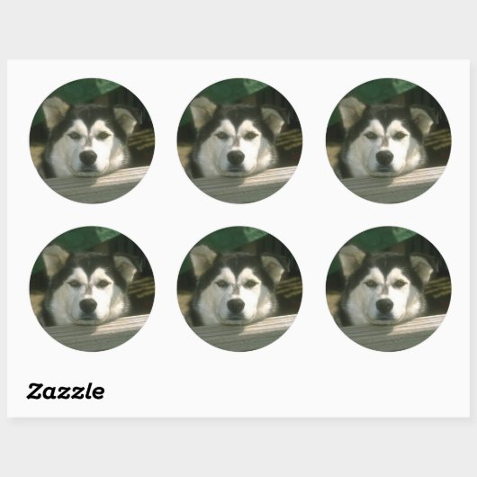Sad Puppy Ronde Sticker (Vel)